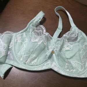Elegant Lace Underwire Bra in Soft Mint